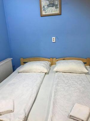 Bed and Breakfast Engi Panzio Ocna de Sus Exteriér fotografie