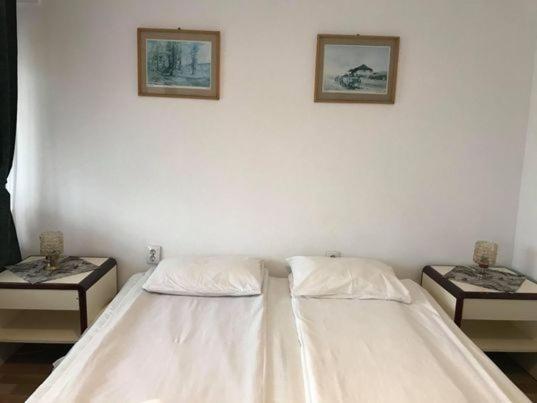 Bed and Breakfast Engi Panzio Ocna de Sus Exteriér fotografie