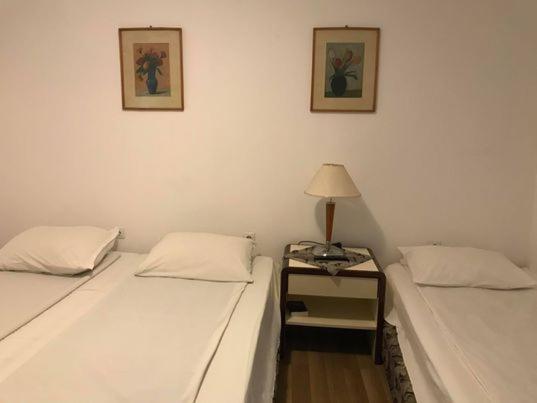 Bed and Breakfast Engi Panzio Ocna de Sus Exteriér fotografie