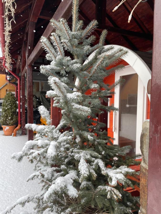 Bed and Breakfast Engi Panzio Ocna de Sus Exteriér fotografie